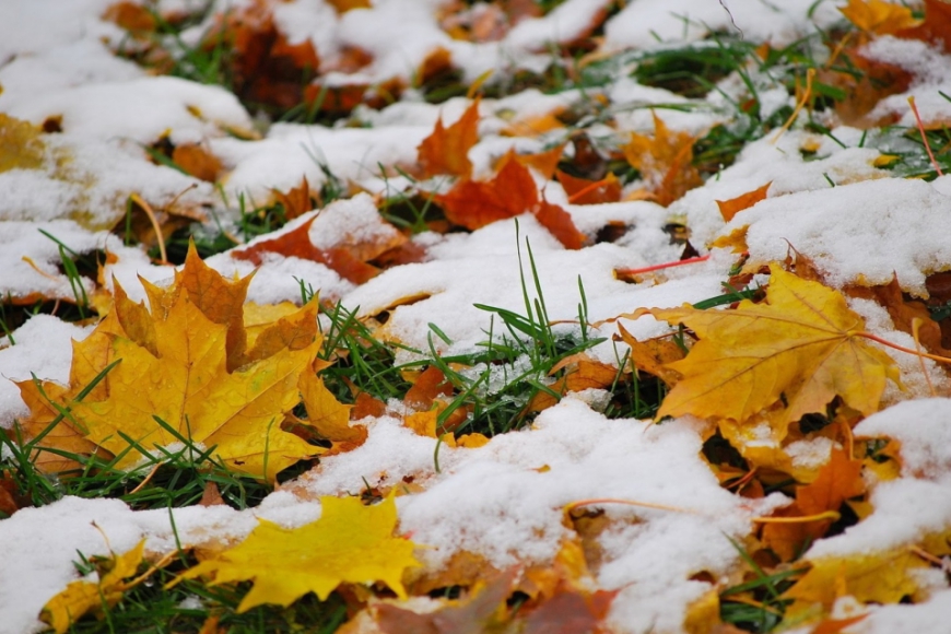 Pirmais sniegs ir klāt!